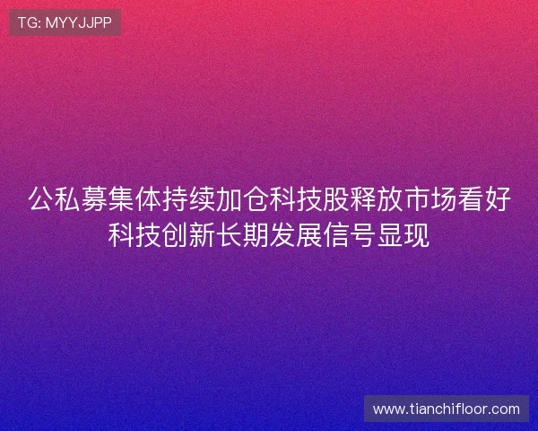 公私募集体持续加仓科技股释放市场看好科技创新长期发展信号显现